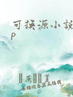 可换源小说app