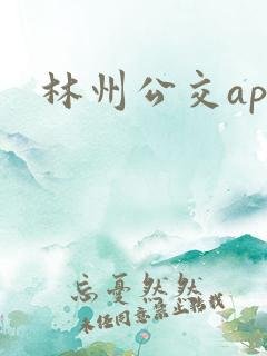 林州公交app