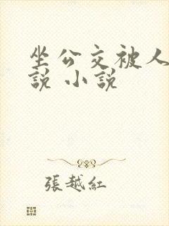 坐公交被人弄小说 小说