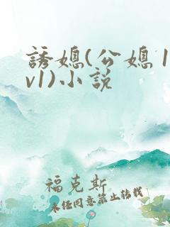 诱媳(公媳 1v1)小说