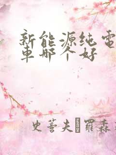 新能源纯电动汽车哪个好
