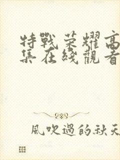 特战荣耀高清全集在线观看