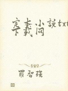 完本小说txt下载网