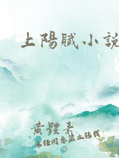 上阳赋小说