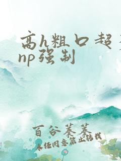 高h粗口超多肉np强制