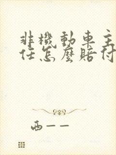 非机动车主要责任怎么赔付