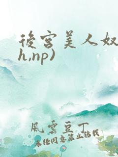 后宫美人奴(高h,np)