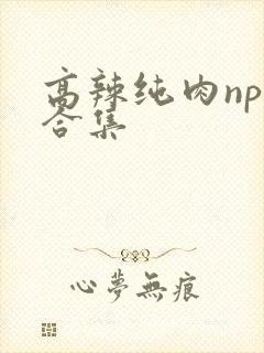 高辣纯肉np文合集