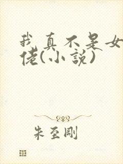我真不是女装大佬(小说)