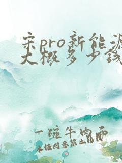 宋pro新能源大概多少钱