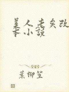 美人老矣改编哪本小说