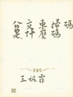 公交车扫码扫的是什么码