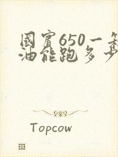 国宾650一箱油能跑多少公里