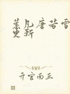 叶凡唐若雪更快更新