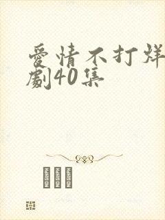 爱情不打烊电视剧40集