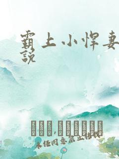 霸上小悍妻 小说