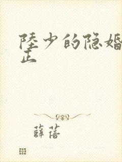 陆少的隐婚罪妻正 陆少的隐婚罪妻正