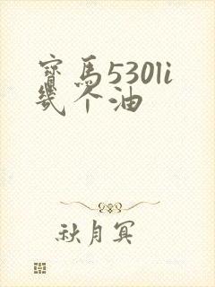 宝马530li几个油