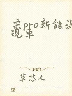 宋pro新能源现车