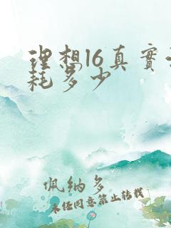 理想l6真实油耗多少