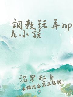 调教玩弄np高h小说