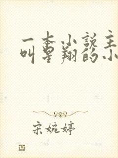 一本小说主人公叫星翔的小说 一本小说主人公叫星翔的小说
