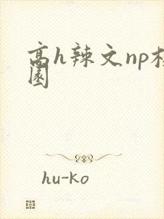 高h辣文np校园