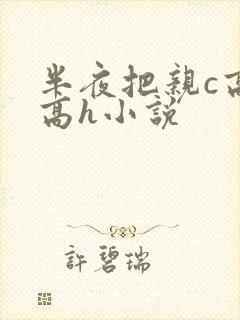 半夜把亲c高潮高h小说