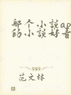 哪个小说app的小说好看