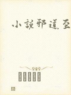 小说邪道至尊