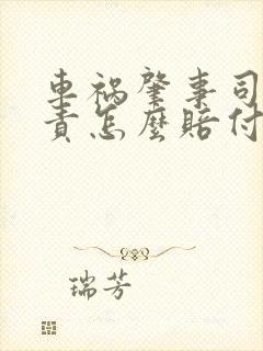 车祸肇事司机全责怎么赔付受伤者