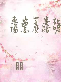 车出了事故人受伤怎么赔呢
