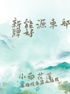 新能源车哪个品牌好