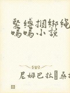 紧缚捆绑绳高潮呜呜小说