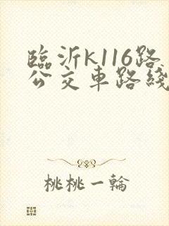 临沂k116路公交车路线图