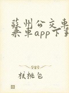 苏州公交车扫码乘车app下载