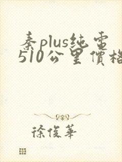 秦plus纯电510公里价格