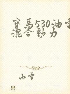 宝马530油电混合动力