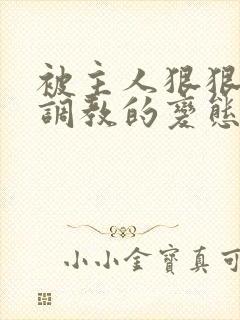被主人狠狠玩弄调教的变态小说 被主人狠狠玩弄调教的变态小说