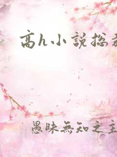 高h小说总裁文