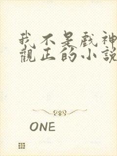 我不是戏神是三观正的小说吗