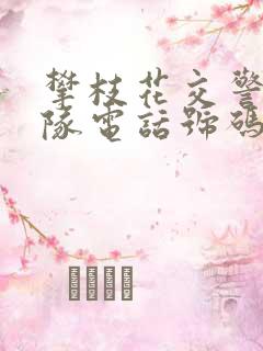 攀枝花交警三大队电话号码多少