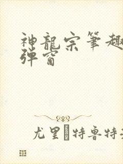 神龙宗笔趣阁无弹窗