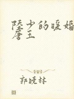 陆少的暖婚新妻唐玉