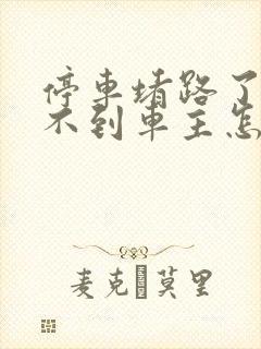 停车堵路了还找不到车主怎么办