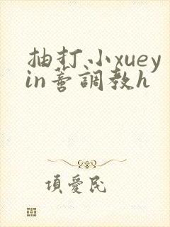 抽打小xueyin蒂调教h