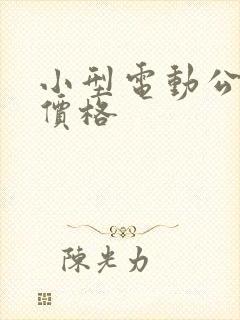 小型电动公交车价格