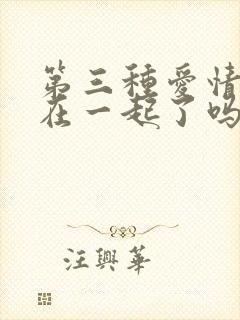 第三种爱情结局在一起了吗