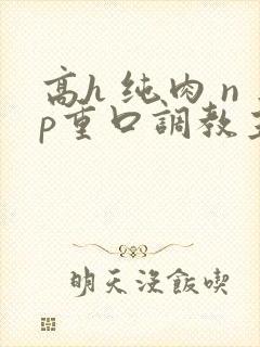 高h 纯肉 np重口调教主动骚文