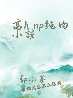 高h np纯肉小说